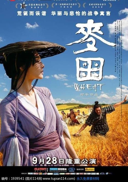 计算机应用合格证如何作假
